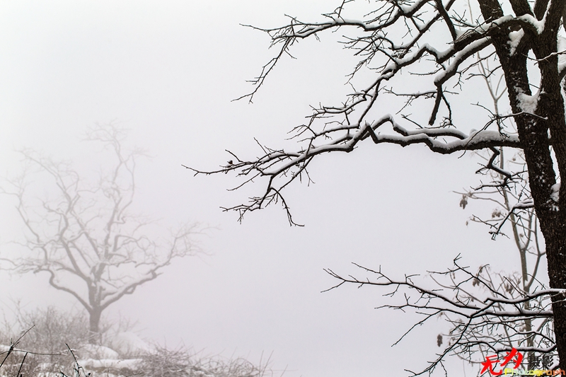 银装素裹写意秦岭 (42).jpg