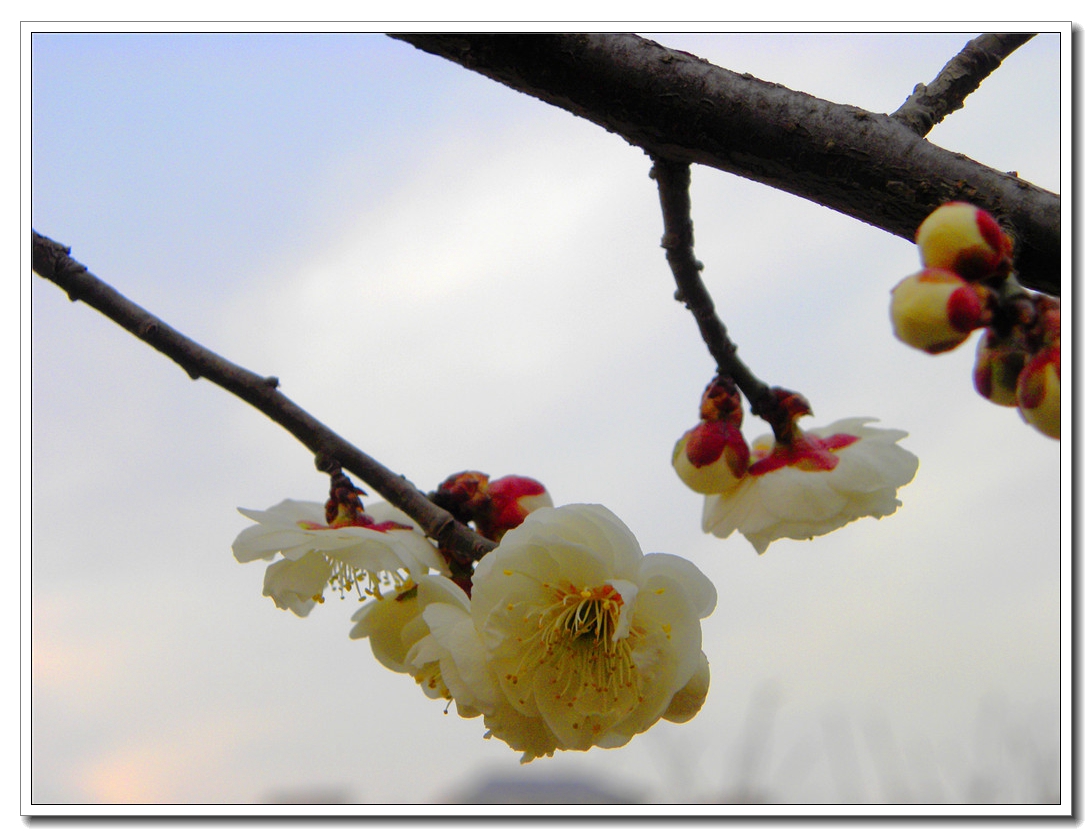 DSCN8642.JPG
