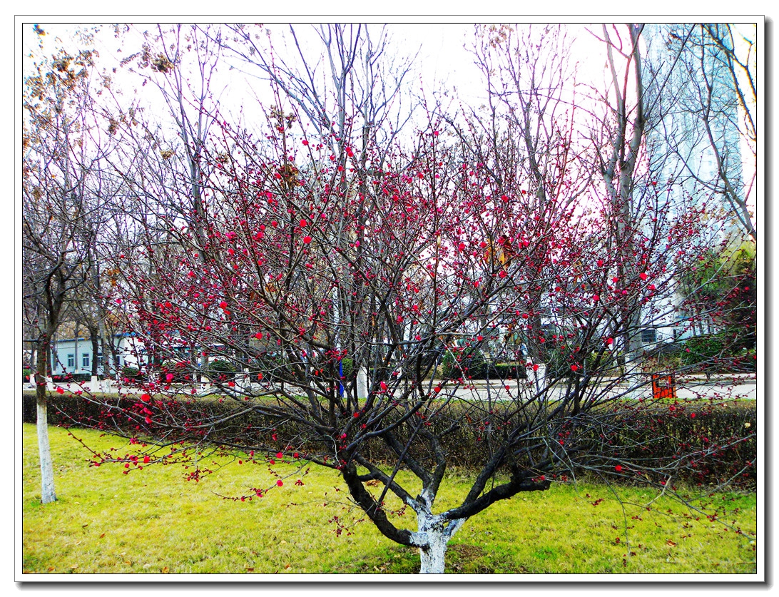 DSCN8710.JPG