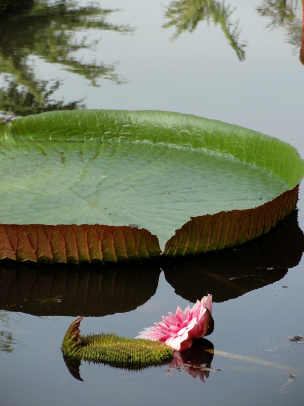 DSC04833_conew1.jpg