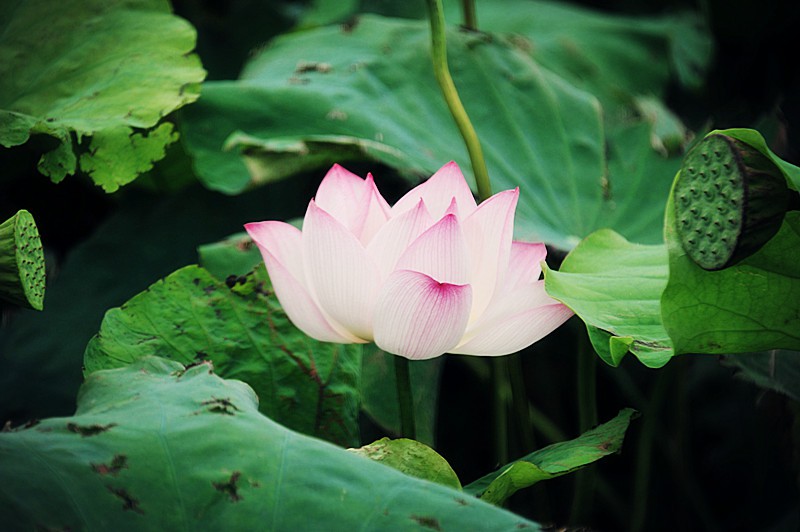 DSC_0182_副本.jpg