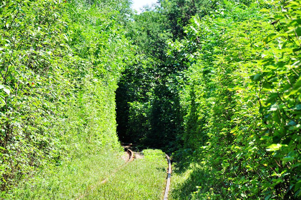 DSC_0383.jpg