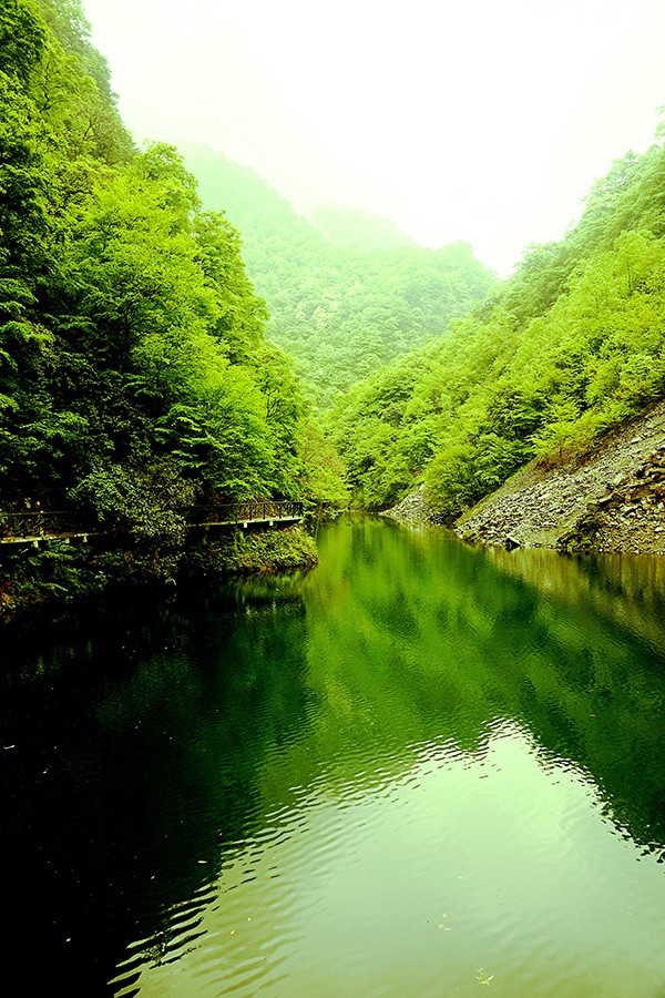 DSC03667_副本.jpg