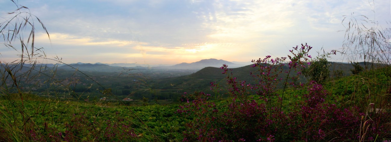 植物园全景图26.jpg