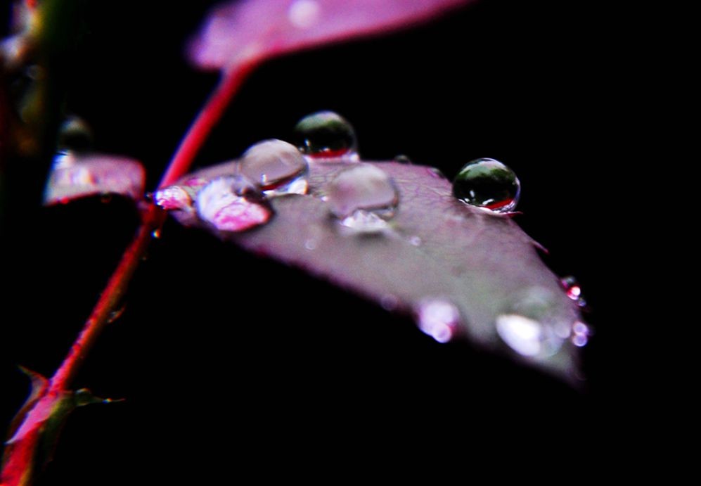 DSC_0269.jpg