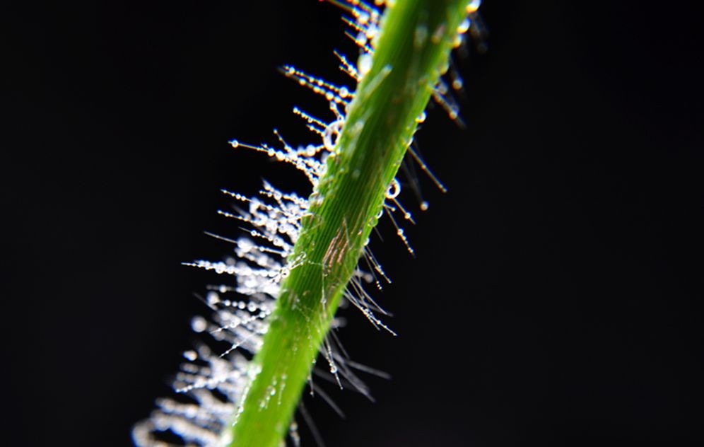 DSC_0285.jpg