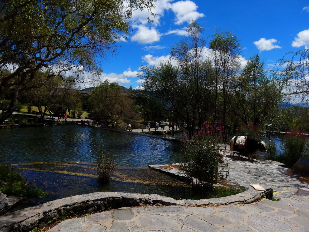 DSC04035A_调整大小.JPG