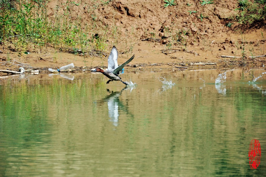 DSC_2912.JPG