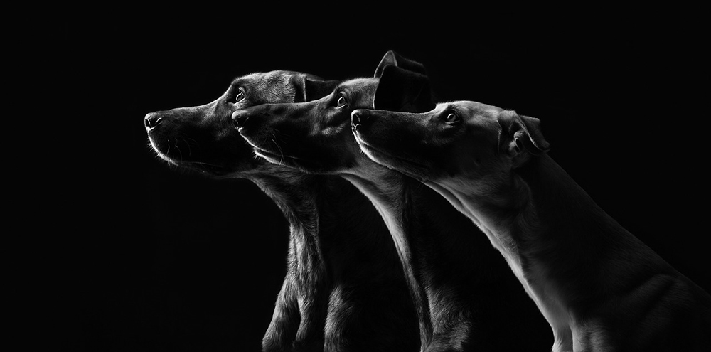 20140814_93490fd.jpg