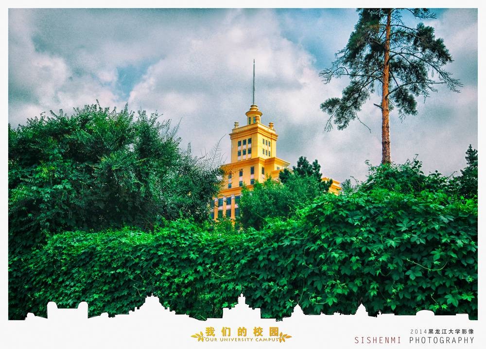 我的大学-主楼
