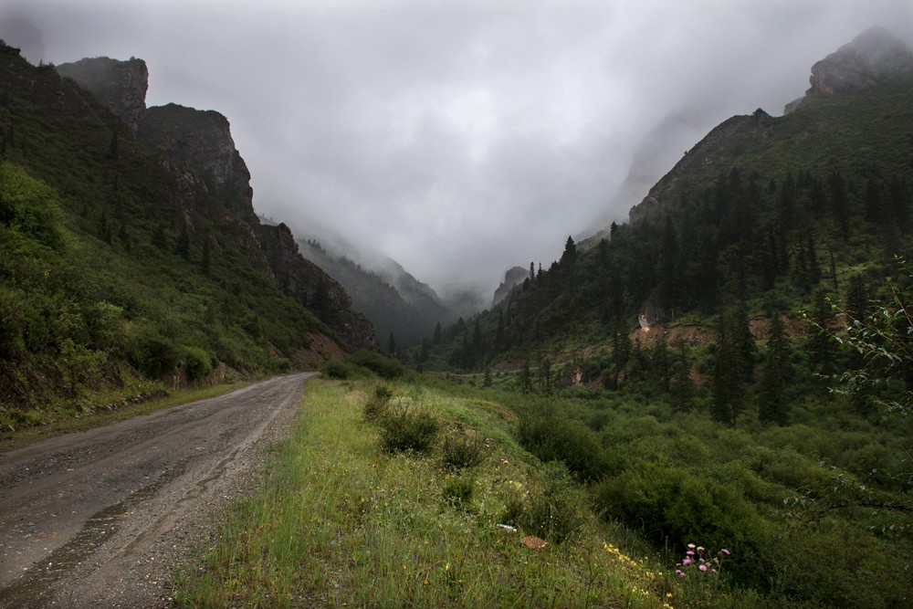_DSC2806.jpg