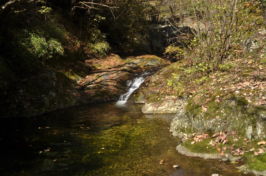 DSC_0113_conew1.jpg