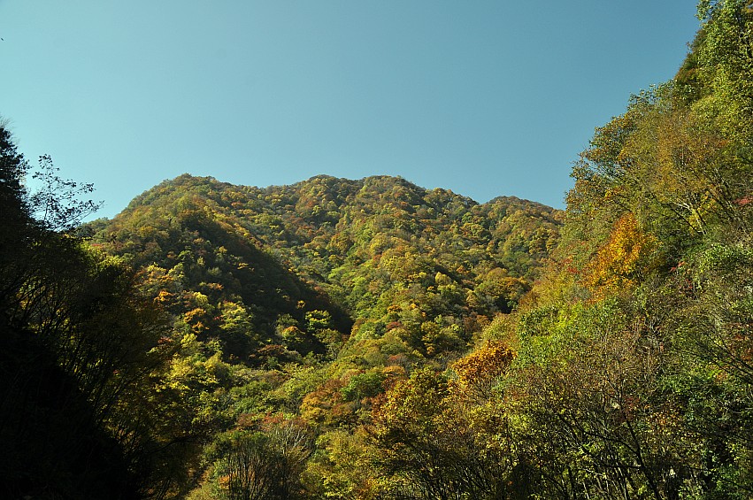 DSC_0156_conew1.jpg