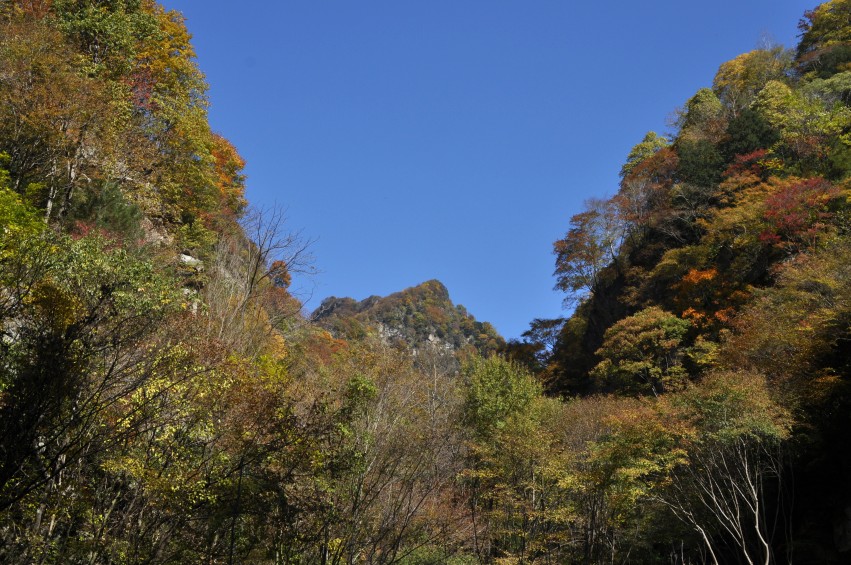 DSC_0158_conew1.jpg