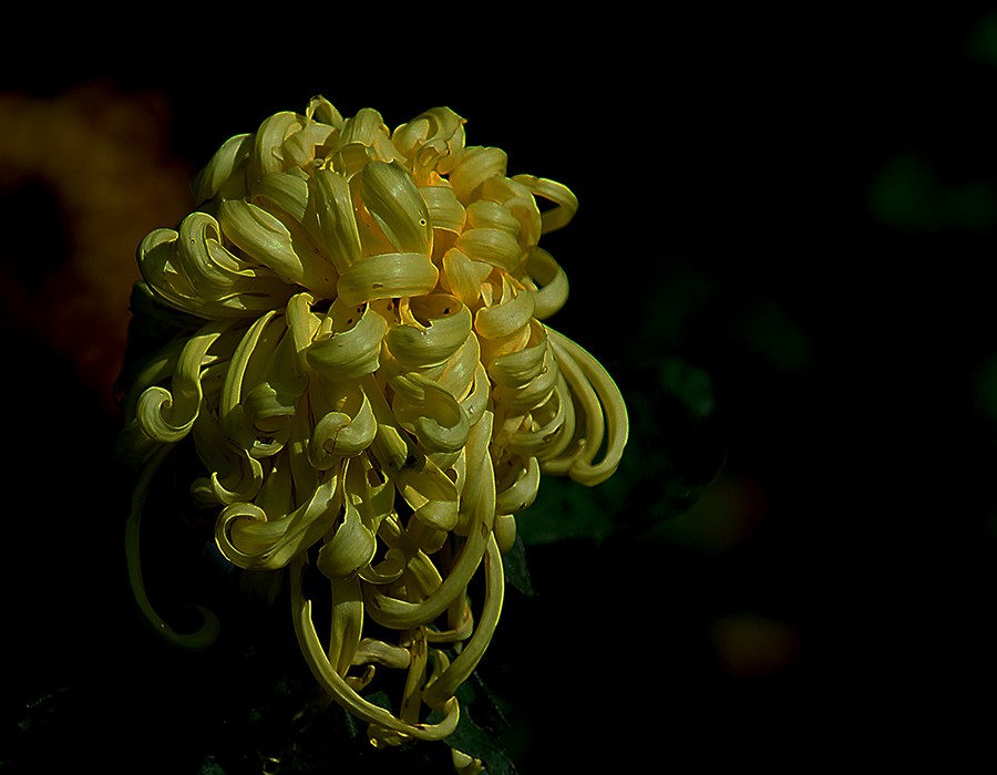 DSC05255改1压发.jpg