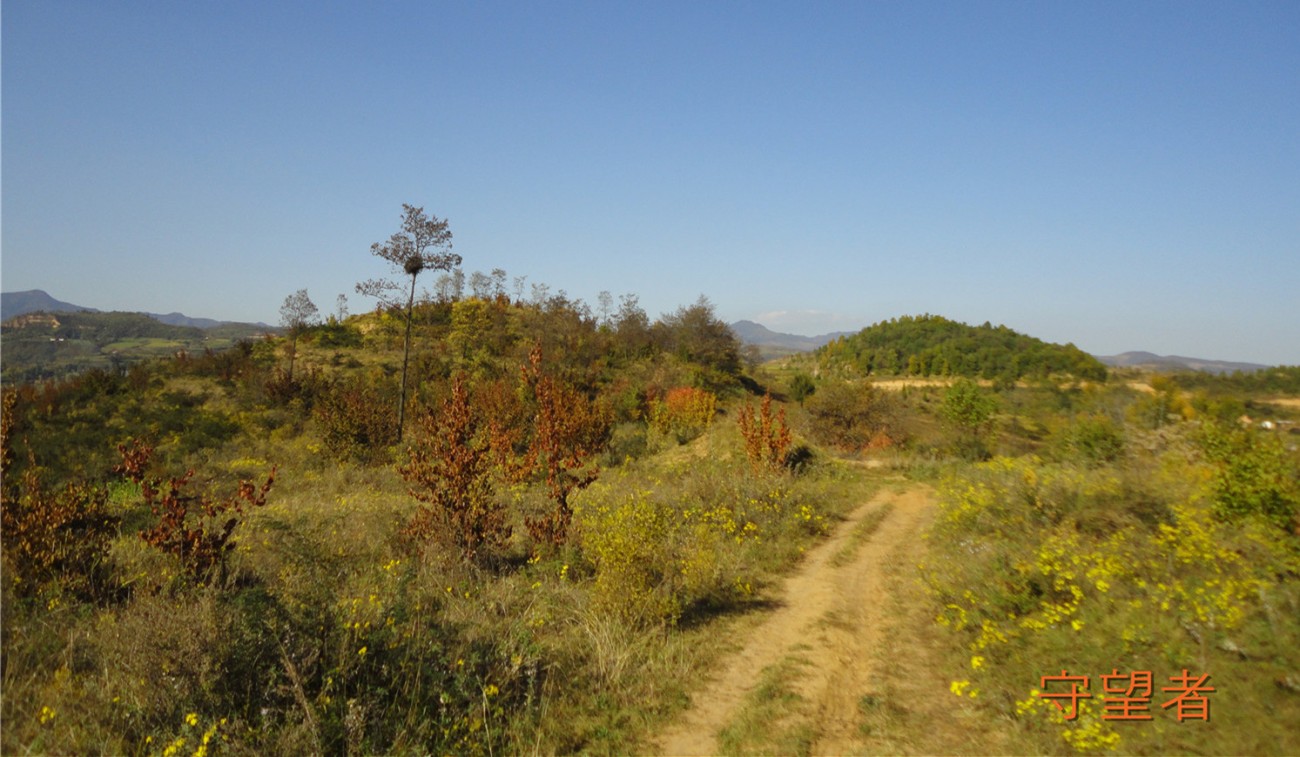DSC09654_副本_副本.jpg
