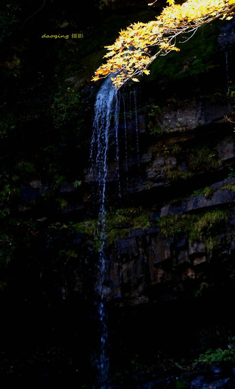 DSC03826-3vv.jpg