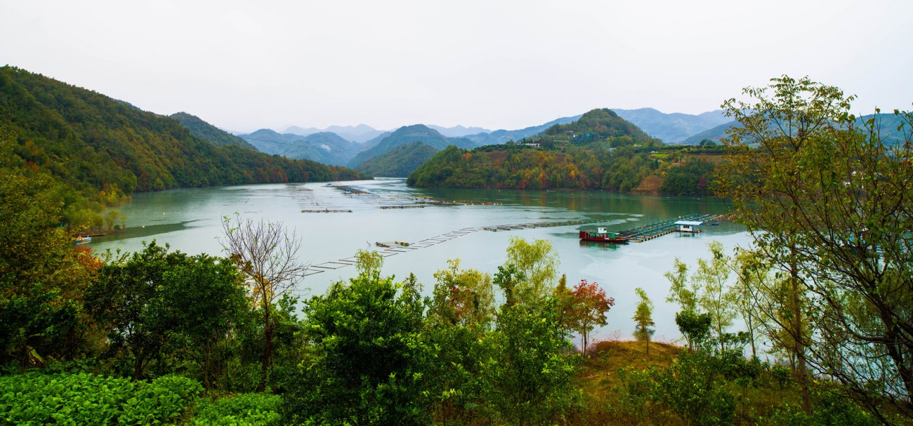 DSC_3810副本.jpg