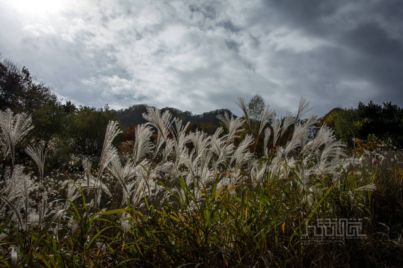石贬峪天池寺 (12).jpg