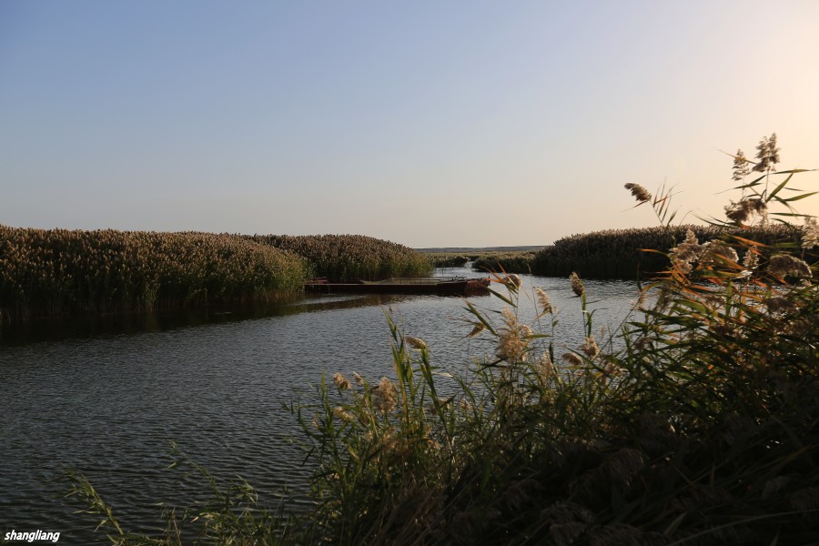 DO2A5116_conew1.jpg