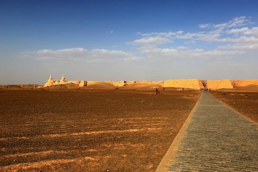 DO2A4843_conew1.jpg