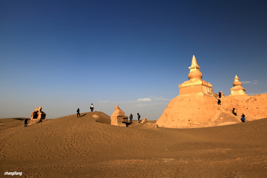 DO2A4866_conew1.jpg