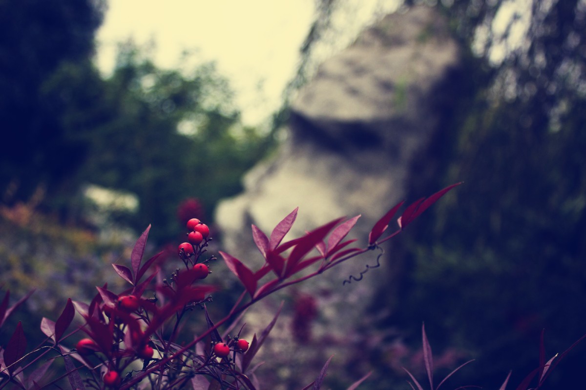 _MG_6334.jpg