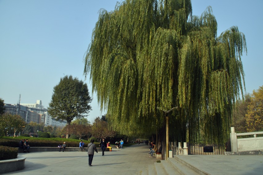 DSC_0052_conew1.jpg