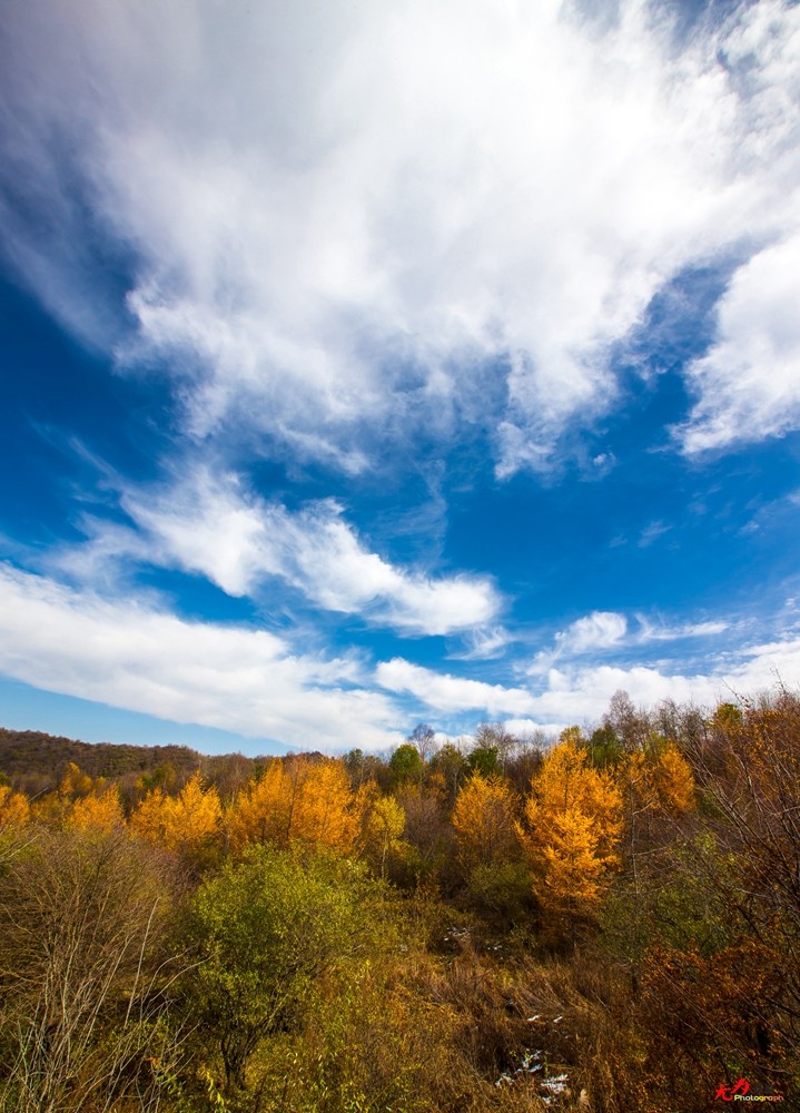 慢城太白 (47).jpg