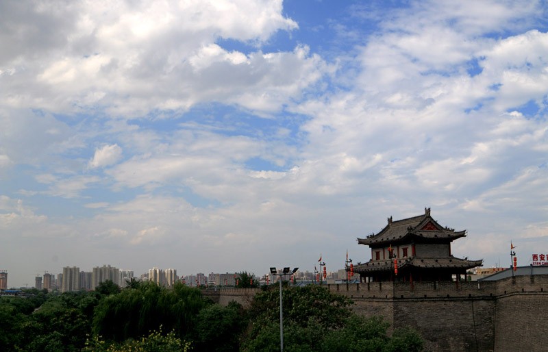 IMG_5974.jpg