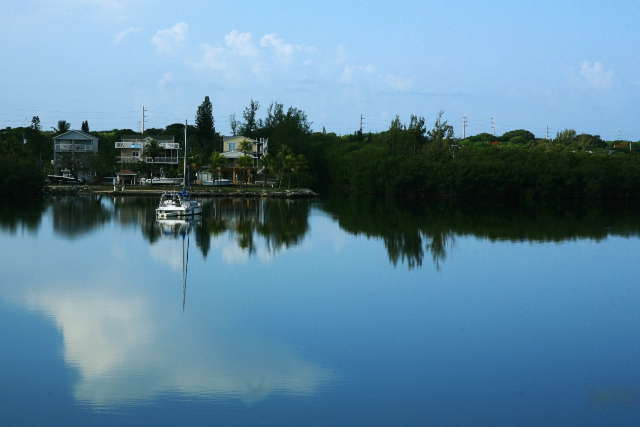 IMG_9376.jpg