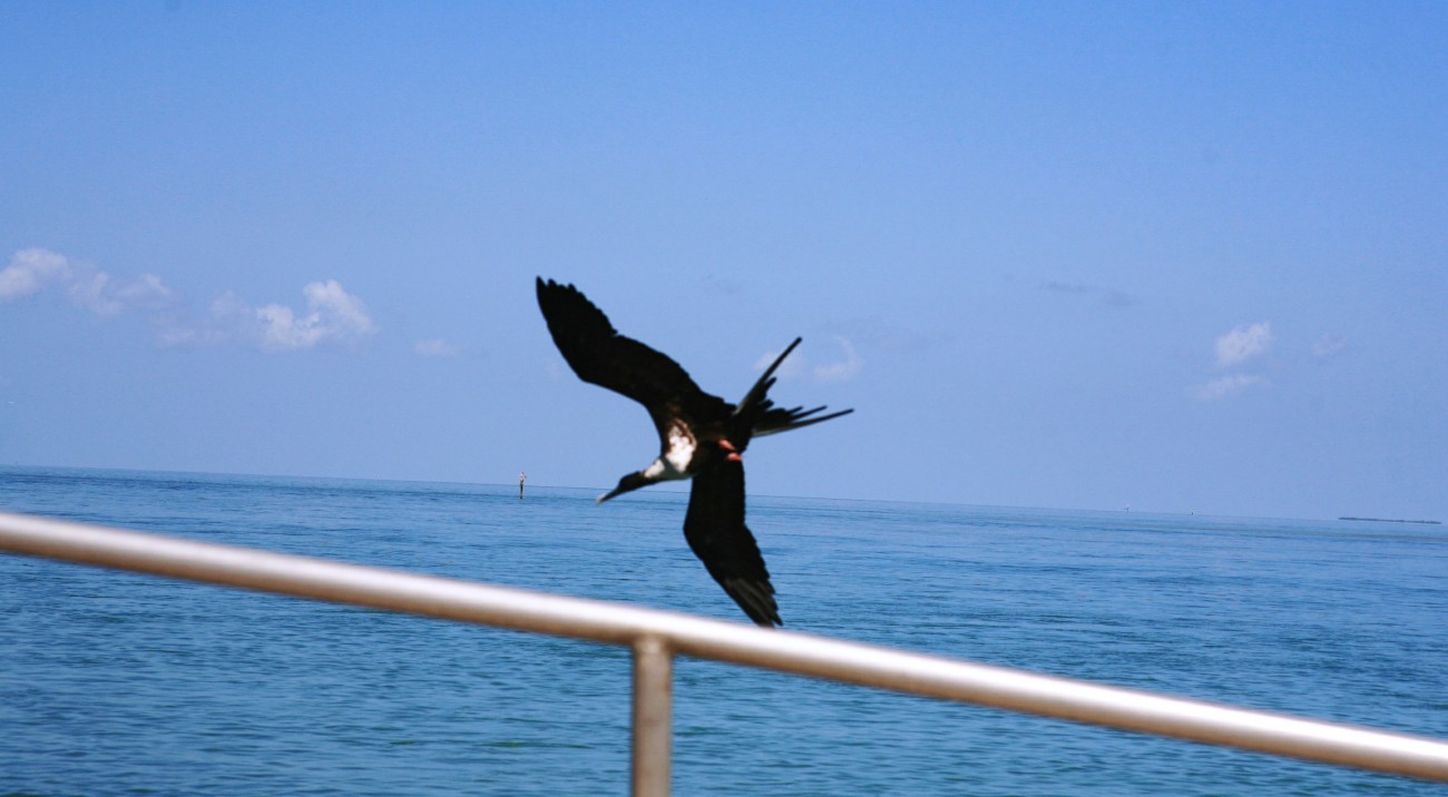 IMG_9429.jpg