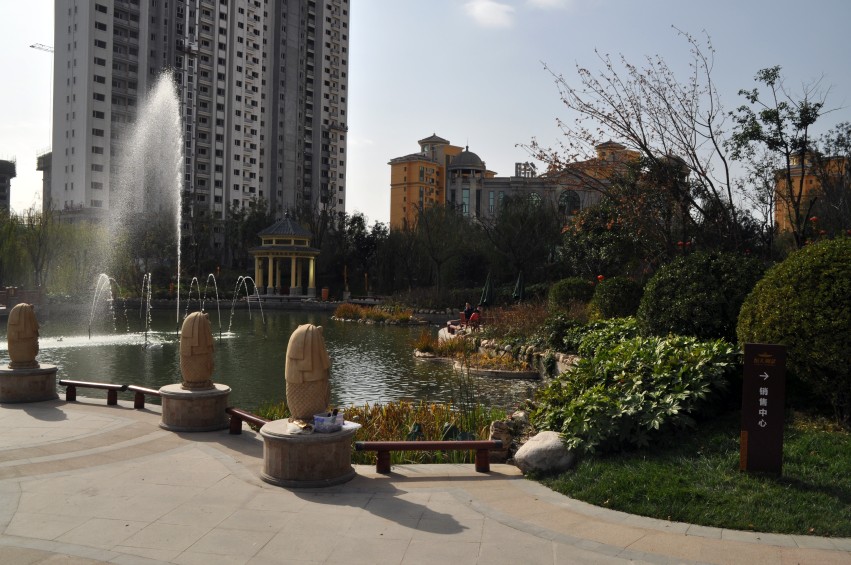 DSC_0004_conew1.jpg