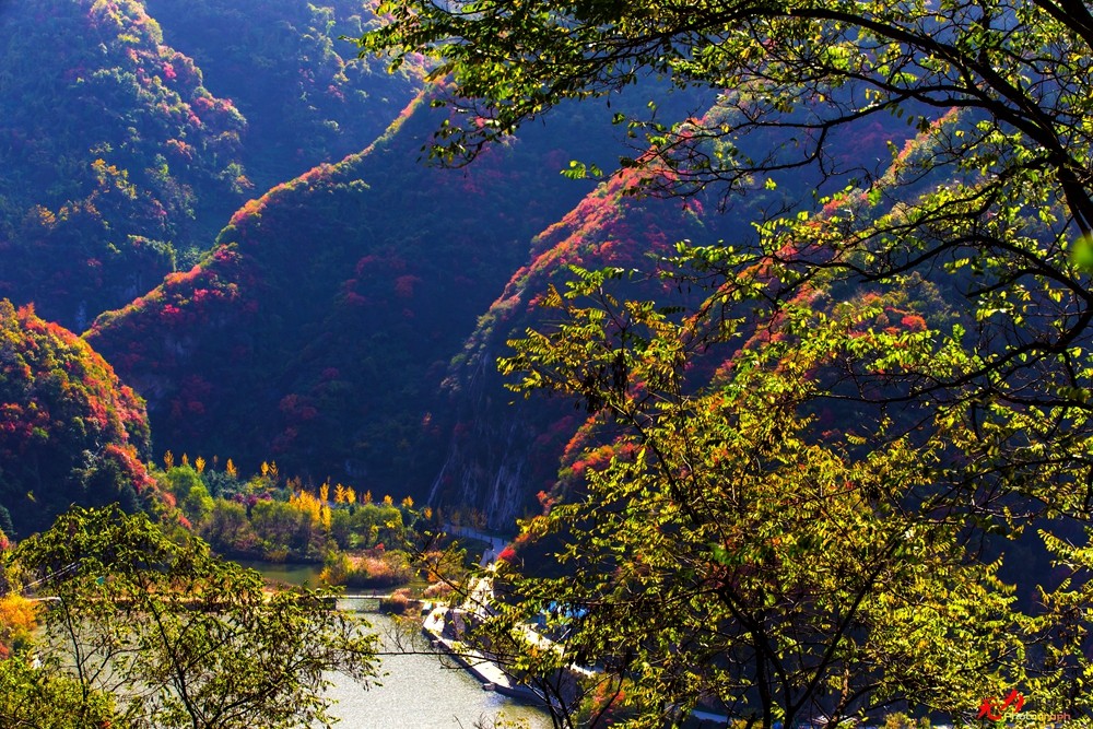 秋日翠华山 (58).jpg