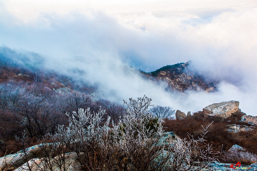 山东风光 (67).jpg