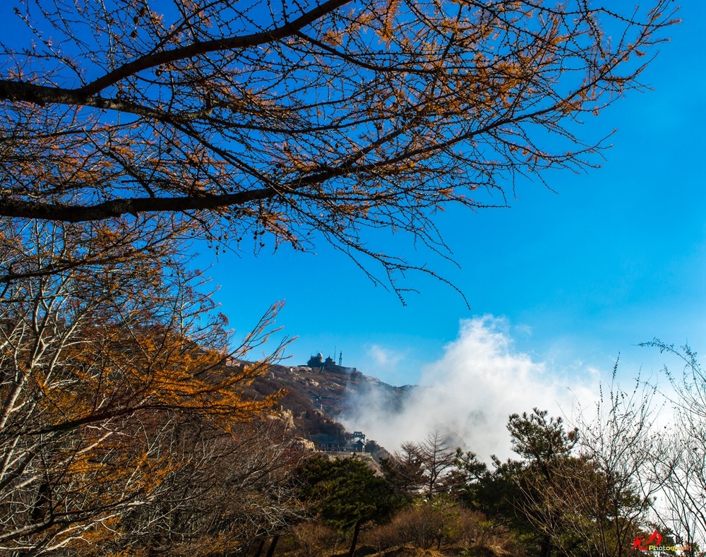 山东风光 (114).jpg