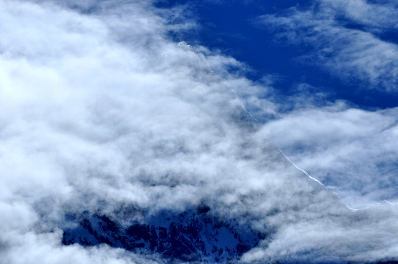 DSC_0239_副本.jpg
