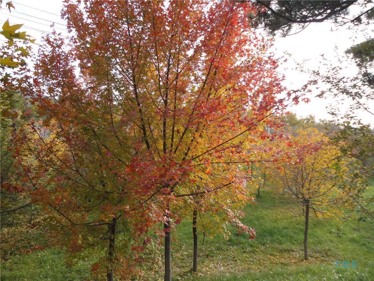 DSC09744_副本.jpg