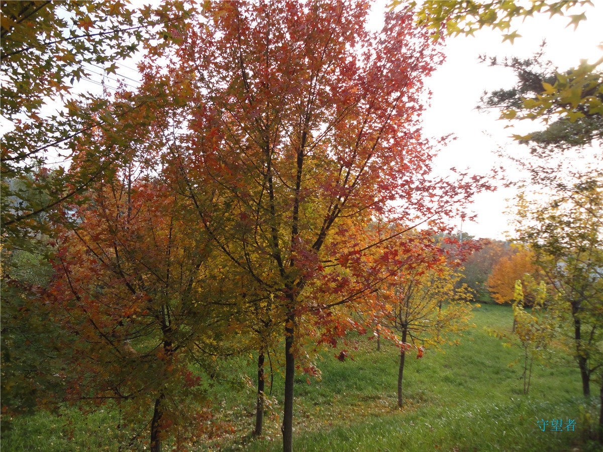 DSC09745_副本.jpg