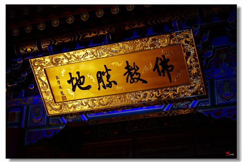 DSC_4961_副本.jpg