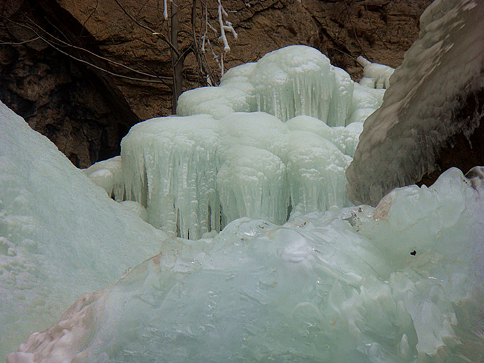 DSC08260_副本.jpg