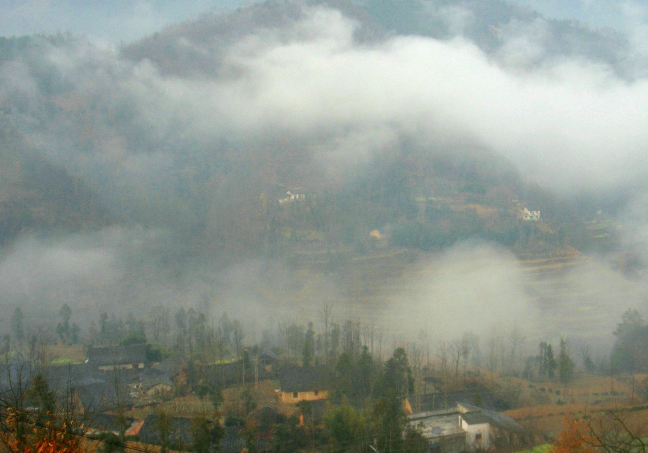 SDC10464_副本1_副本.JPG