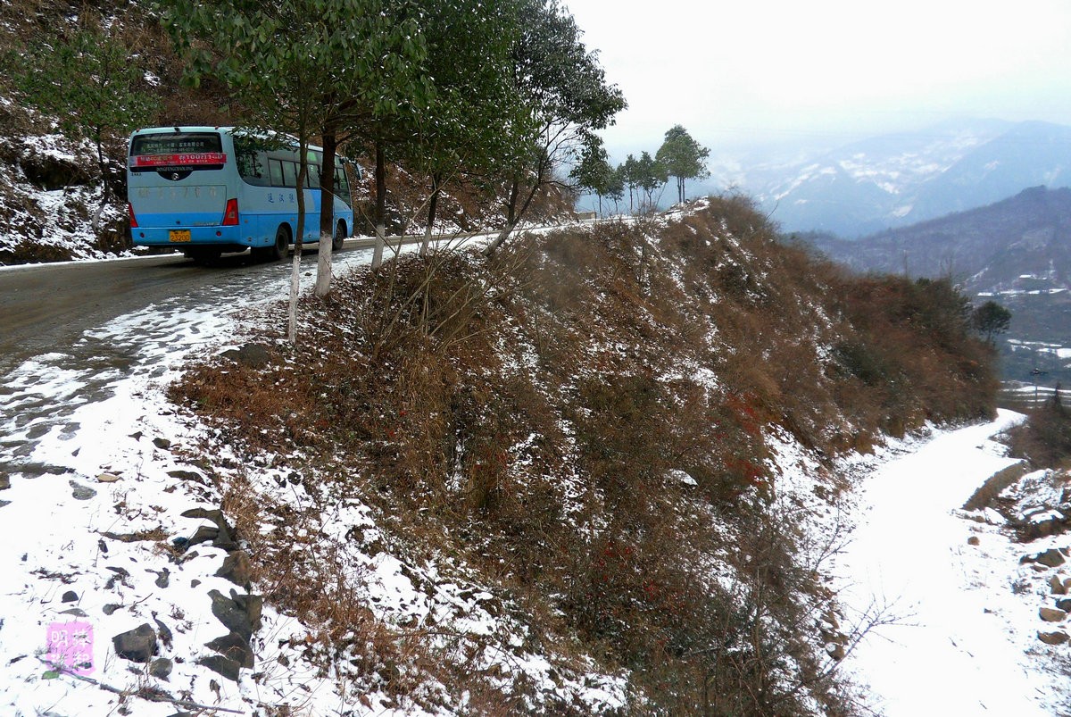 SDC11127_副本_副本.JPG