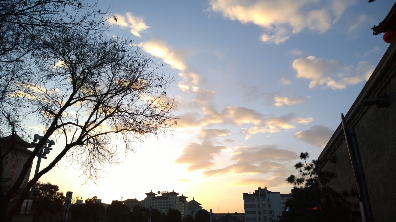 WP_20150120_17_48_25_Pro.jpg