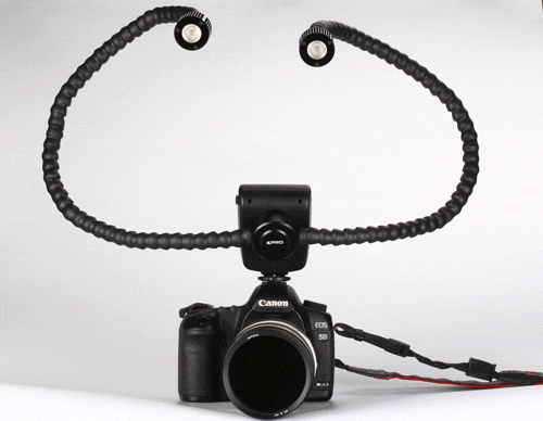 image003 .gif