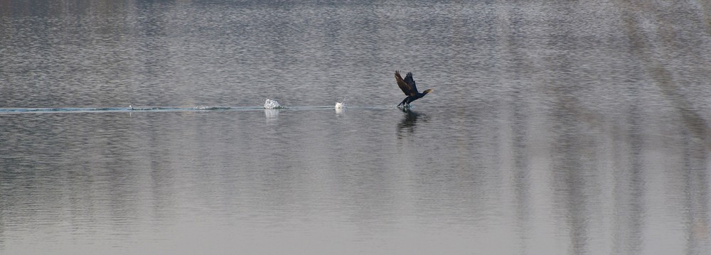 DSC_7539.JPG