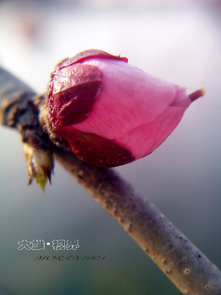 CYMERA_20150308_171624.jpg