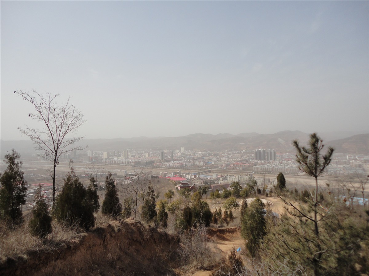 DSC09973_副本.jpg