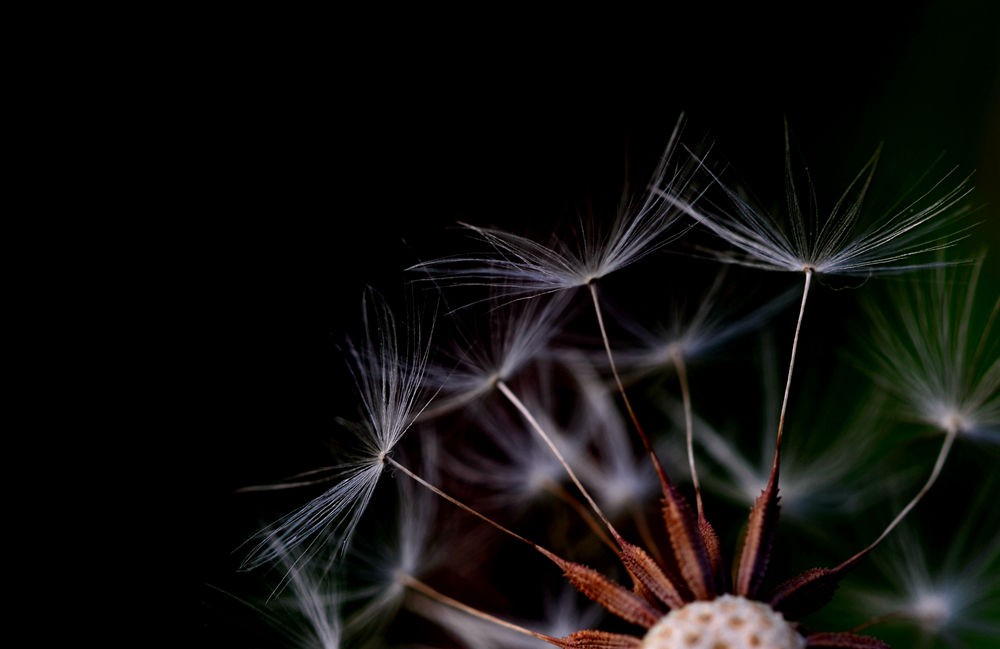 0831_79110831.JPG