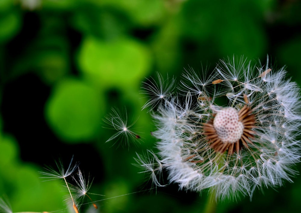 副本 - 0831_83690831.JPG